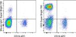 CD3 Antibody in Flow Cytometry (Flow)