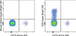 CD8a Antibody in Flow Cytometry (Flow)