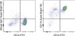 CD11b Antibody in Flow Cytometry (Flow)