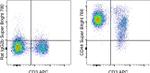 CD44 Antibody in Flow Cytometry (Flow)