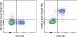 CD90.2 (Thy-1.2) Antibody in Flow Cytometry (Flow)