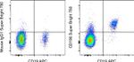 CD196 (CCR6) Antibody in Flow Cytometry (Flow)