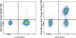 Mouse IgG1 Secondary Antibody in Flow Cytometry (Flow)