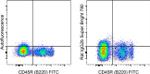 Rat IgG2b kappa Isotype Control in Flow Cytometry (Flow)