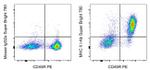 MHC Class II I-Ab Antibody in Flow Cytometry (Flow)