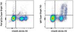 IgM Antibody in Flow Cytometry (Flow)