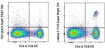 TCR V alpha 2 Antibody in Flow Cytometry (Flow)