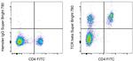 TCR beta Antibody in Flow Cytometry (Flow)