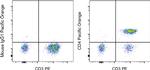 CD4 Antibody in Flow Cytometry (Flow)