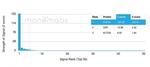 FGF23 (Fibroblast Growth Factor 23) Antibody in Peptide array (ARRAY)