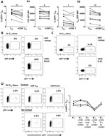 CD8a Antibody in Flow Cytometry (Flow)