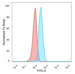 YBX3 (Transcription Factor) Antibody in Flow Cytometry (Flow)