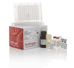 Human IL-28A Uncoated ELISA Kit with Plates (88-52102-22)