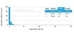 Histone Deacetylase 1 (HDAC3) Antibody in Peptide array (ARRAY)