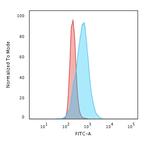 Cyclin B1 (G2- and M-phase Cyclin) Antibody in Flow Cytometry (Flow)