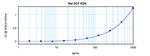 Rat SCF ELISA Development Kit (ABTS)