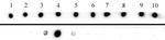 Histone H3K27me3 Antibody in Dot Blot (DB)