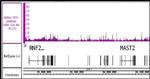 TET1 Antibody in ChIP-Sequencing (ChIP-Seq)