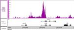 Histone H3K27ac Antibody in ChIP-Sequencing (ChIP-Seq)