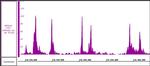 CTCF Antibody in ChIP-Sequencing (Chip-Seq)