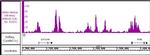 Histone H3K4me2 Antibody in ChIP-Sequencing (ChIP-Seq)