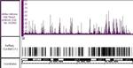 Histone H3K79me2 Antibody in ChIP-Sequencing (ChIP-Seq)