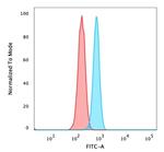 ZMYM3 Antibody in Flow Cytometry (Flow)