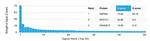 ZMYM3 Antibody in Peptide array (ARRAY)