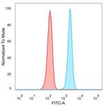 QKI/Protein Quaking Antibody in Flow Cytometry (Flow)