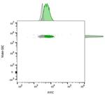 CD63 (Late Endosomes Marker) Antibody in Flow Cytometry (Flow)