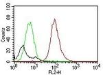 CD63 (Late Endosomes Marker) Antibody in Flow Cytometry (Flow)