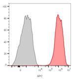 CD81/TAPA-1 Antibody in Flow Cytometry (Flow)