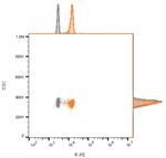 CD81/TAPA-1 Antibody in Flow Cytometry (Flow)