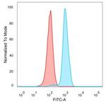 Y14/RBM8A Antibody in Flow Cytometry (Flow)