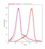 Mouse IgG (H+L) Cross-Adsorbed Secondary Antibody in Flow Cytometry (Flow)