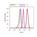 Mouse IgG (H+L) Cross-Adsorbed Secondary Antibody in Flow Cytometry (Flow)