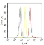 Mouse IgG (H+L) Cross-Adsorbed Secondary Antibody in Flow Cytometry (Flow)