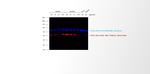 Mouse IgG2a Cross-Adsorbed Secondary Antibody in Western Blot (WB)