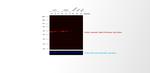 Mouse IgG (H+L) Cross-Adsorbed Secondary Antibody in Western Blot (WB)