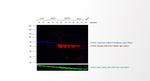 Rabbit IgG (H+L) Cross-Adsorbed Secondary Antibody in Western Blot (WB)