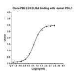 PD-L1 Antibody in ELISA (ELISA)