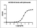 Ipilimumab Antibody in ELISA (ELISA)