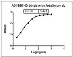 Adalimumab Antibody in ELISA (ELISA)