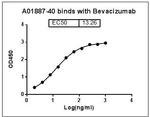 Bevacizumab Antibody in ELISA (ELISA)