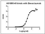 Bevacizumab Antibody in ELISA (ELISA)