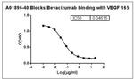 Bevacizumab Antibody in ELISA (ELISA)