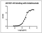 Adalimumab Antibody in ELISA (ELISA)