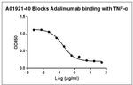 Adalimumab Antibody in ELISA (ELISA)