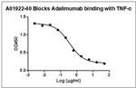 Adalimumab Antibody in ELISA (ELISA)