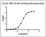 Obinutuzumab Antibody in ELISA (ELISA)